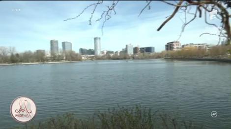 Mireasa sezonul 9, 28 februarie 2024. Cristina, dezvăluiri emoționante despre viața ei