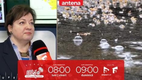 Super Neatza, 12 martie 2024. Prognoza Meteo de la ANM. Vremea se încălzește spre finalul săptămânii în toată țara