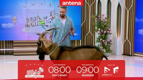 Super Neatza, 8 aprilie 2024. Radu Bucălae, țapul în platoul matinalului de la Antena 1!