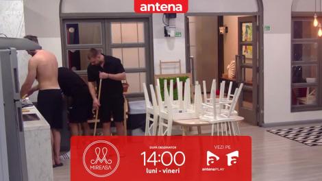 Mireasa sezonul 9, 15 aprilie 2024. Cum încearcă băieții să gestioneze curățenia în bucătărie