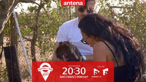 Poftiți pe la noi, 20 mai 2024. Ce decizie a luat Ruby la fermă : „Eu nu pot să văd un animal în durere”