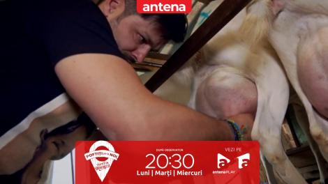 Poftiți pe la noi, 21 mai 2024. Vedetele au mers la muls de capre. Ce gest a făcut Liviu Vârciu față de Sonny Medini