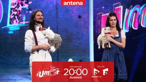 Finala iUmor sezonul 16, 26 mai 2024. Daniele si Naimana - jurizare