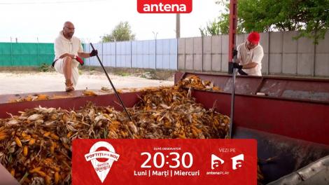 Poftiți pe la noi, 28 mai 2024. Liviu Vârciu și Andrei Ștefănescu, aduși la capătul răbdării: A venit dușmanul lângă noi!