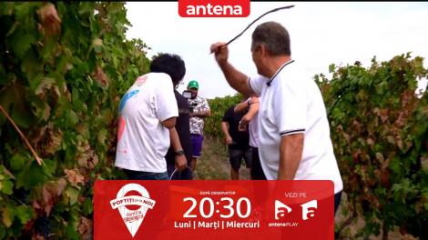 Poftiți pe la noi, 28 mai 2024. Nea Marin a scos nuiaua în vița de vie: A durut rău de tot!