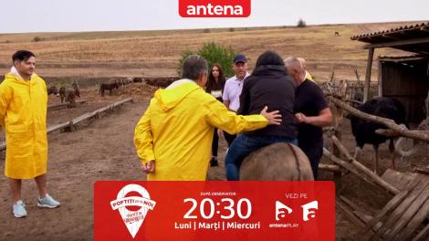 Poftiți pe la noi, 28 mai 2024. Aventuri la ferma de animale. Ce s-a întâmplat când Rikito Watanabe s-a urcat pe măgar
