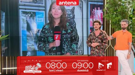 Super Neatza, 14 iunie 2024. Recomandări de spectacole pentru luna iunie