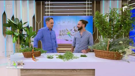 Super Neatza, 10 iulie 2024. Plante răcoritoare pentru o vară călduroasă