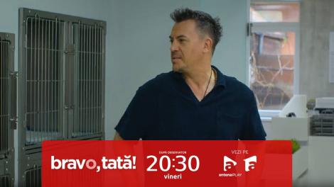 Bravo, tată! | Sezonul 3, episodul 13, 16 noiembrie 2024. Gioni este înțepat de o tarantulă: Te paralizează!