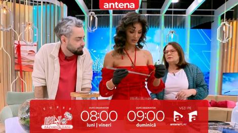 Super Neatza, 12 februarie 2025. Cum poți face un terariu acasă