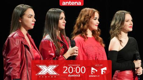 X Factor sezonul 11, 23 februarie 2025. Trupa Harmony - jurizare
