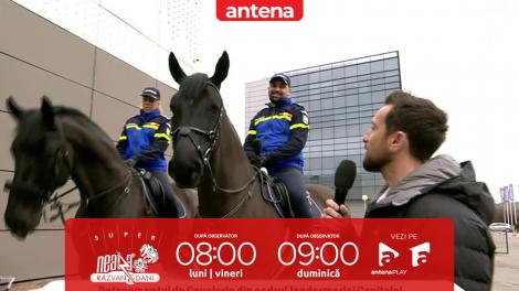 Super Neatza, 2 aprilie 2025. Detaşamentul de Cavalerie din cadrul Jandarmeriel Capitalei, prezenţă de gală la Neatza
