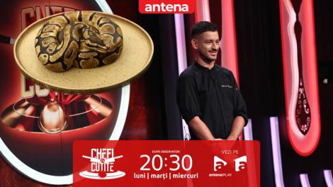 Chefi la cuțite | Sezonul 15, 2 aprilie 2025. Daniel Martins, francezul care transformă deserturile în adevărate opere de artă! Chef Richard: De ce am un șarpe în farfurie?