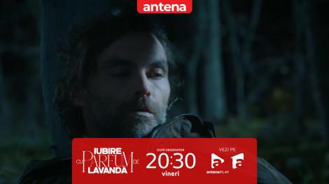Iubire cu parfum de lavandă | Sezonul 2 | Episodul 40, 18 aprilie 2025. Traian a fost împușcat de Albert în pădure
