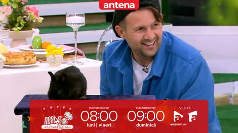 Super Neatza, 21 aprilie 2025. Magicianul Robert Tudor uimește din nou! Trucuri care te lasă fără cuvinte