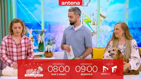 Super Neatza 5 mai 2025. Cum îngrijești un animal de companie senior
