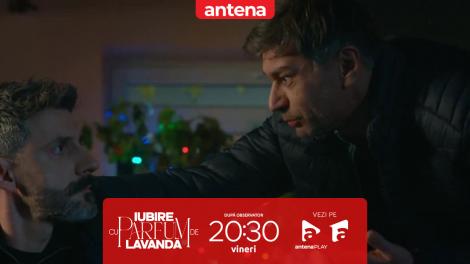 Iubire cu parfum de lavandă | Sezonul 2 | Episodul 49, 9 mai 2025. Ce au făcut Ciprian și Dinu după ce au accidentat-o grav cu mașina pe Lavinia