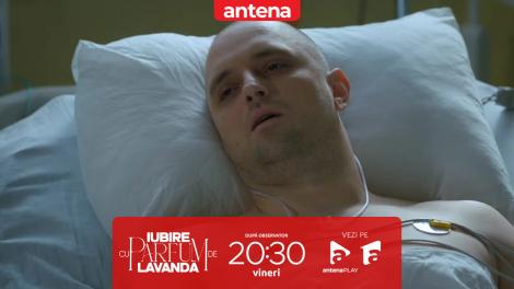 Iubire cu parfum de lavandă | Sezonul 2 | Episodul 50, 9 mai 2025.  Albert s-a trezit din comă și are planuri de răzbunare!