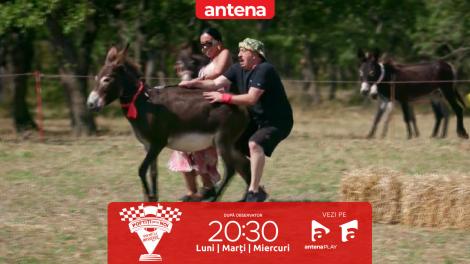 Poftiți pe la noi: Poftiți la întrecere, 3 iunie 2025. Echipele au fost nevoite să ducă măgarii în țarcuri construite chiar de ele