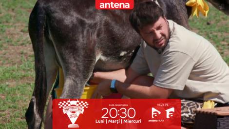 Poftiți pe la noi: Poftiți la întrecere, 3 iunie 2025. Cum s-au descurcat vedetele la muls măgărițe