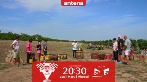 Poftiți pe la noi: Poftiți la întrecere, 11 iunie 2025. Proba a treia din a doua etapă se va desfășura într-o vie! Care sunt regulile jocului