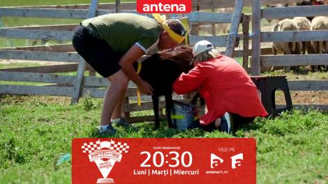 Poftiți pe la noi: Poftiți la întrecere, 16 iunie 2025. Jocul de prins și muls capre. Carmen Negoiță: A fost îngrozitor!