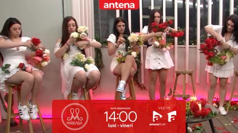 Mireasa sezonul 11, 24 iunie 2025. Task în noaptea de Sânziene! Fetele au împletit coronițe