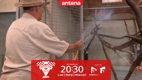 Poftiți pe la noi: Poftiți la întrecere, 25 iunie 2025. Nea Marin i-a udat cu furtunul pe Liviu Vârciu și Andrei Ștefănescu, la Zoo
