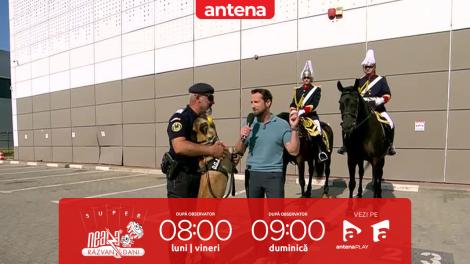 Super Neatza, 27 iunie 2025. Rolul jandarmilor cu cai și cu câini în misiunile de ordine publică