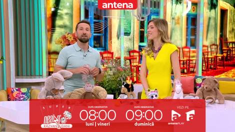 Super Neatza, 10 iulie 2025. Ce trebuie să ştim înainte de a aduce un animal în familie