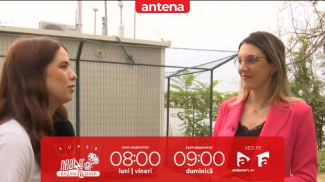 Super Neatza, 15 iulie 2025. Cum măsoară autoritățile de mediu calitatea aerului. Detalii oferite de Diana Buzoianu, ministrul Mediului, Apelor şi Pădurilor