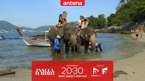 Insula iubirii Sezonul 9, 13 august 2025. Momente speciale printre elefanți: Tremur de emoții!