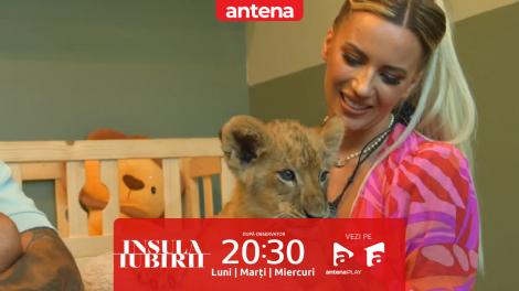 Insula Iubirii Sezonul 9, 2 septembrie 2025. Cum s-au distrat concurenții la Dream Date. Tensiuni între Ella Vișan și ispita Teo