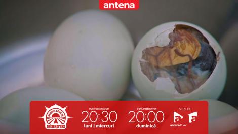 Asia Express, 9 septembrie 2025. Au mâncat embrion din ou clocit de pasăre! Olga Barcari: Îmi venea să plâng!