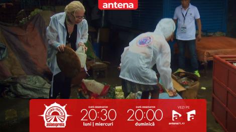 Asia Express, 10 septembrie 2025. Ce s-a întâmplat atunci când Catinca și Calina Roman au trebuit să facă curat: Miroase a pește mort!
