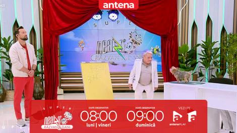 Super Neatza, 12 septembrie 2025. Cățelușa care știe matematică! Ion Paliu şi Inna, lecție specială de matematică