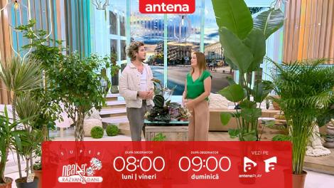 Super Neatza, 25 septembrie 2025. Cum să alegi plantele potrivite pentru a decora casa