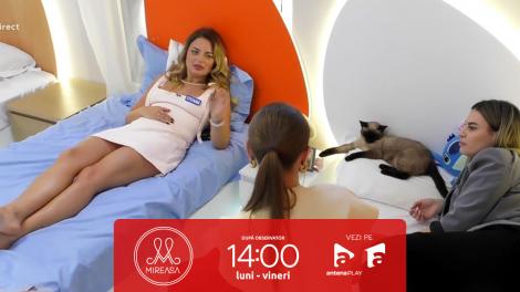 Mireasa sezonul 12, 30 septembrie 2025. Ștefania, încurajată de fete după despărțirea de Liviu: Jalnic și josnic!