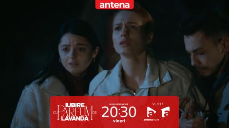 Iubire cu parfum de lavandă | Sezonul 3 | Episodul 11, 3 octombrie 2025. Anda o convinge pe Maria să nu mai plece cu Albert în Germania