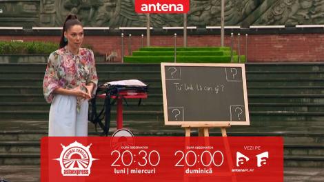 Asia Express, 5 octombrie 2025. Misiune cu semnificații în cultura vietnameză! Echipele au trebuit să descopere cele patru animale sacre