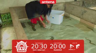 Asia Express, 13 octombrie 2025. Prinderea țiparilor le-a dat mai bătăi de cap concurenților