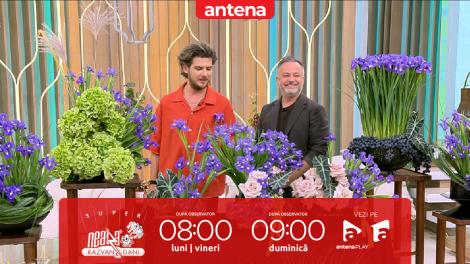 Super Neatza, 14 octombrie 2025. Aranjamente delicate și elegante cu iriși