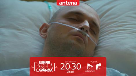 Iubire cu parfum de lavandă | Sezonul 3 | Episodul 16, 17 octombrie 2025. Albert se află în stare gravă după operație