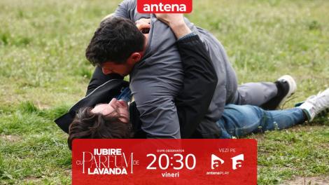 Iubire cu parfum de lavandă | Sezonul 3 | Episodul 22, 31 octombrie 2025. Confruntare în lanul de lavandă! Ștefan și fratele său, la un pas de bătaie