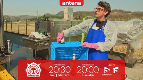 Asia Express, 4 noiembrie 2025. Alexandru Ion, criză de nervi la fabrica de kaki: Face mișto de noi!