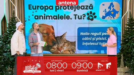 Super Neatza, 4 noiembrie 2025. Ce obligații ai ca propietar pentru bunăstarea animalelor de companie