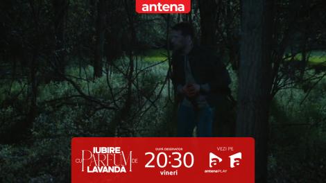 Iubire cu parfum de lavandă | Sezonul 3 | Episodul 24, 7 noiembrie 2025. Ștefan este rănit grav după o discuție cu Vali și Zamfir