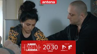 Iubire cu parfum de lavandă | Sezonul 3 | Episodul 29, 14 noiembrie 2025. Albert îi cere Chanelei adăpost