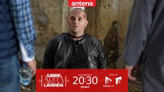 Iubire cu parfum de lavandă | Sezonul 3 | Episodul 36, 28 noiembrie 2025. Albert merge acasă la Chanela să ceară ajutor: Vali m-a eliberat!