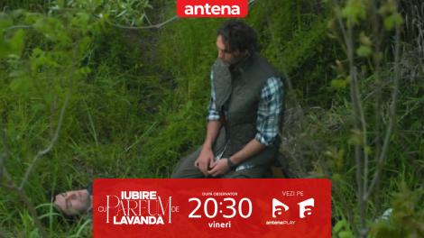 Iubire cu parfum de lavandă | Sezonul 3 | Episodul 38, 5 decembrie 2025. Traian îl găsește inconștient în pădure pe Andrei: Nu-mi amintesc cum am ajuns acolo!